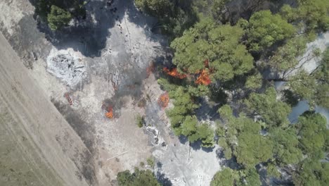 antena - vista de arriba hacia abajo de los incendios forestales que atraviesan los árboles de goma azul
