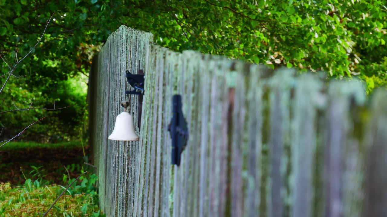 녹색 숲 근처 시골 울타리와 종