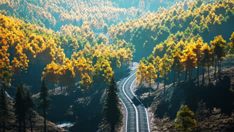 majestic trees with sunny beams at mountain valley