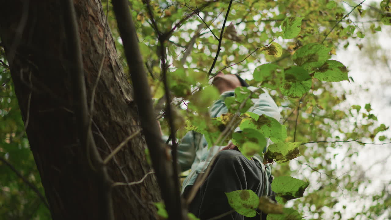 Caucasian hiker climbing leafy canopy, lowangle closeup showing focused ascent, forest researcher vibe, dexterous movement among branches, mosscovered bark and dappled light creating quiet