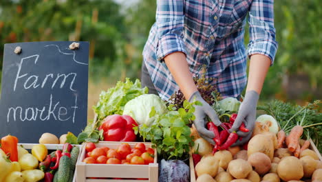 un vendedor en una feria agrícola pone verduras en el mostrador