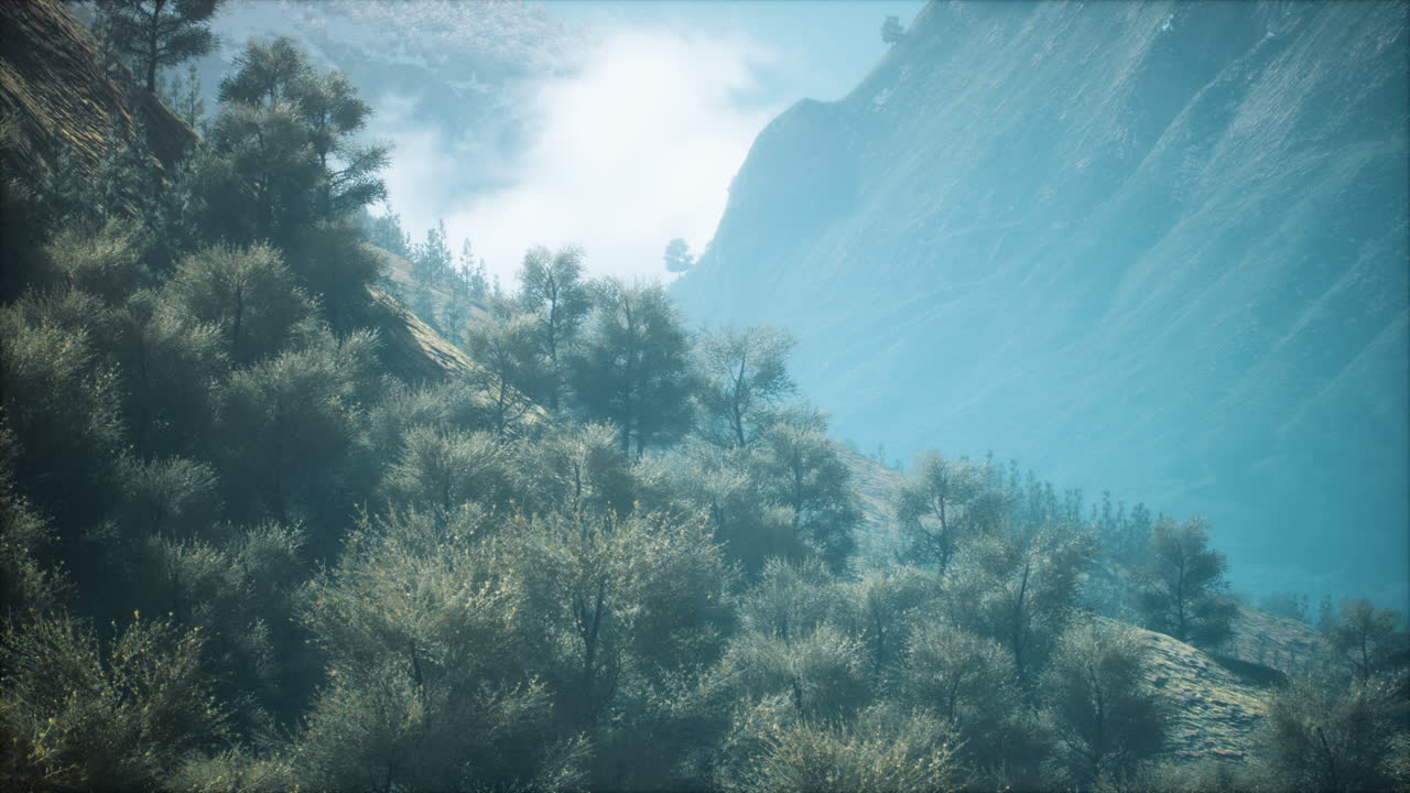 언덕으로 둘러싸인 푸른 숲 한가운데에 있는 하천의  ⁇