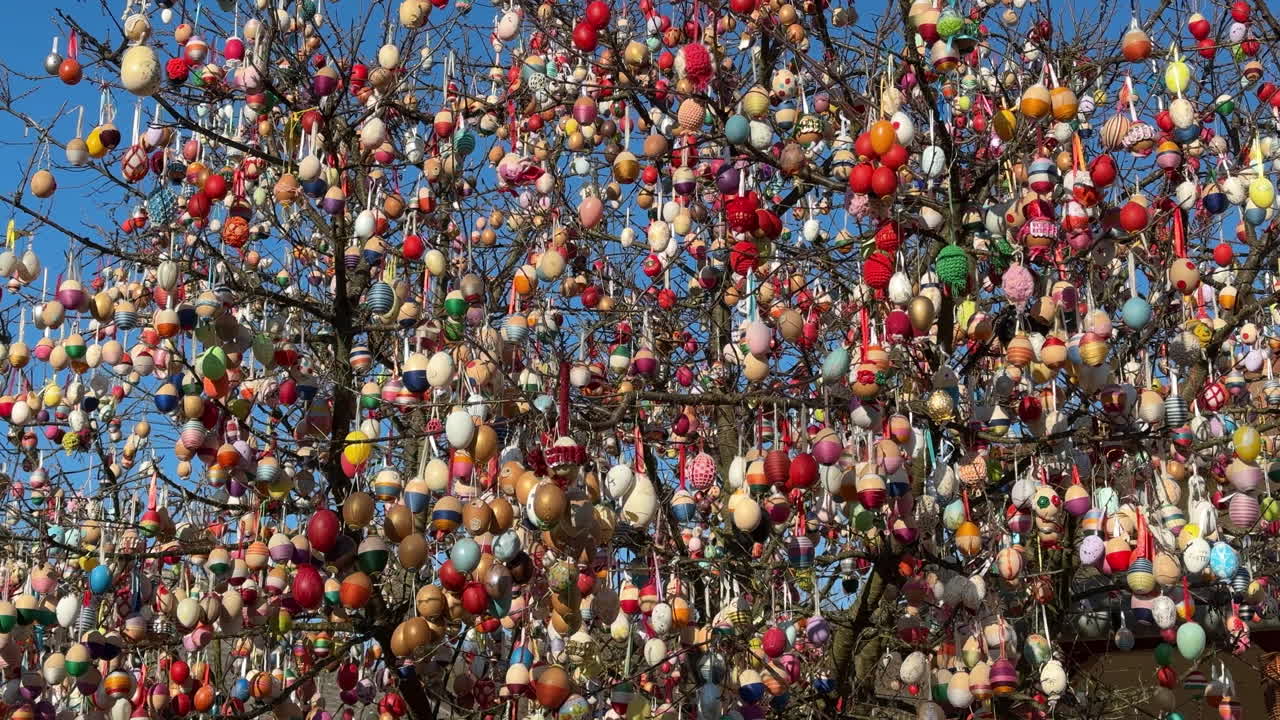 Easter egg tree decorated with vibrant ornaments