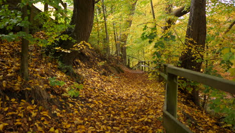 Langsames-Schwenken-Auf-Der-Herbststraße