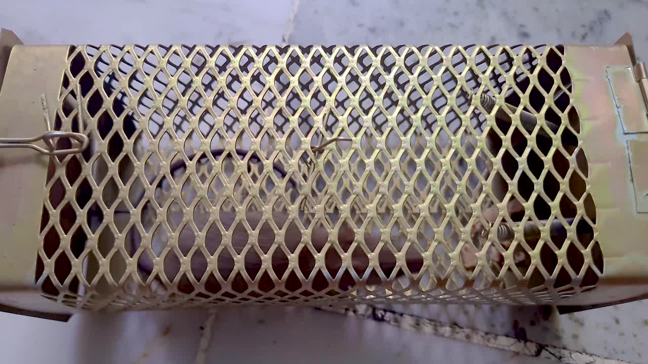 낮에 다른 각도에서 쥐 우리 덫에 걸린 쥐