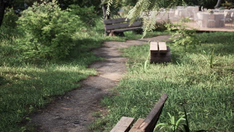 Bench-in-the-summer-park-with-old-trees-and-footpath