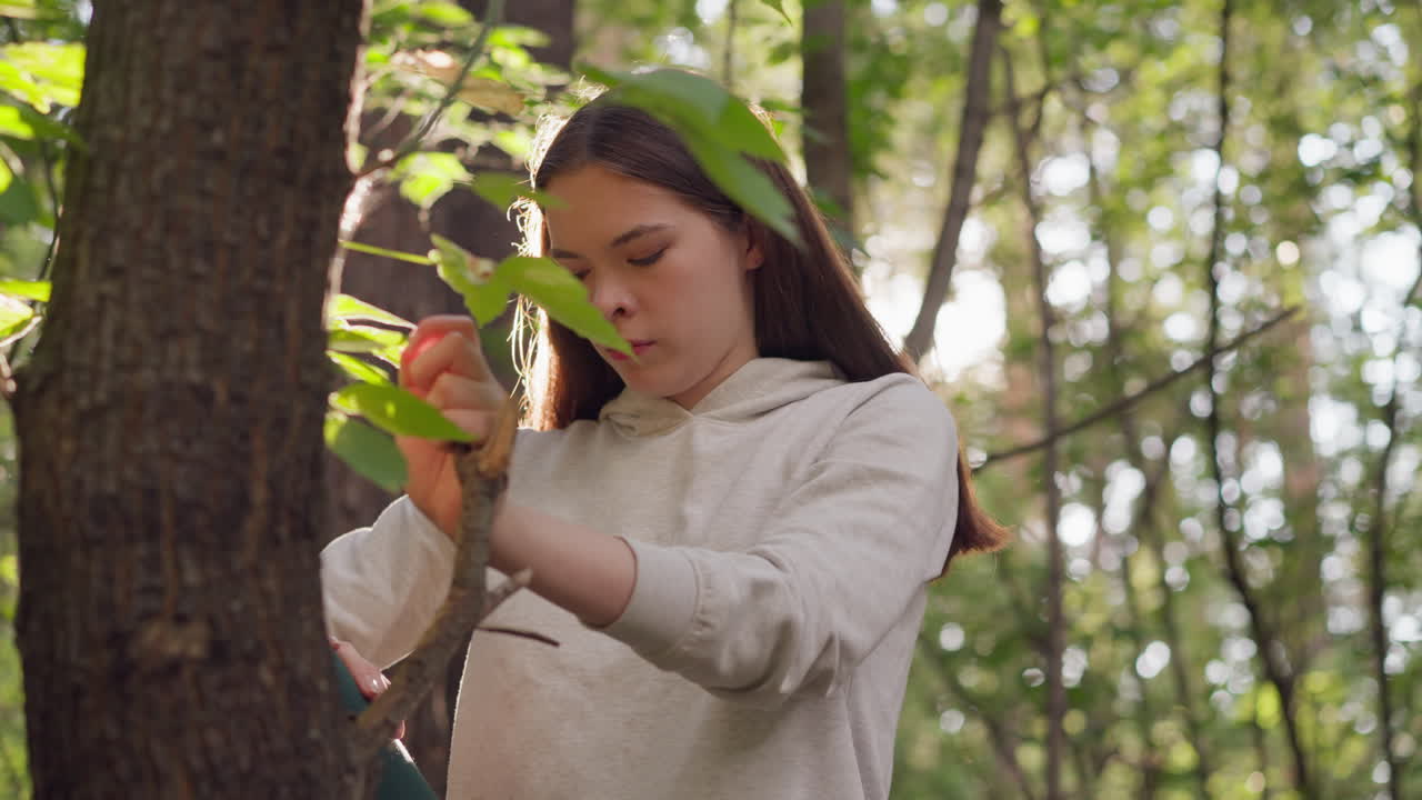 dama se apoya en un árbol estirando la pierna levantada en el bosque. la luz del sol cae sobre la mujer haciendo fitness rodeada de árboles. tiempo soleado para mejorar la salud física