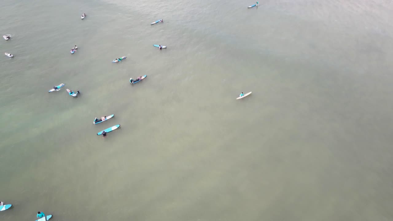 surfistas disfrutando de las olas