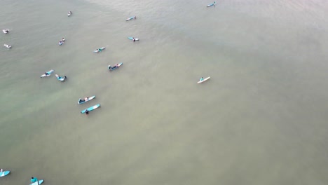surfers enjoying the waves
