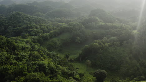 drone shot over lush rainforest landscape with rolling hills and greenery in los haitises, dominican republic