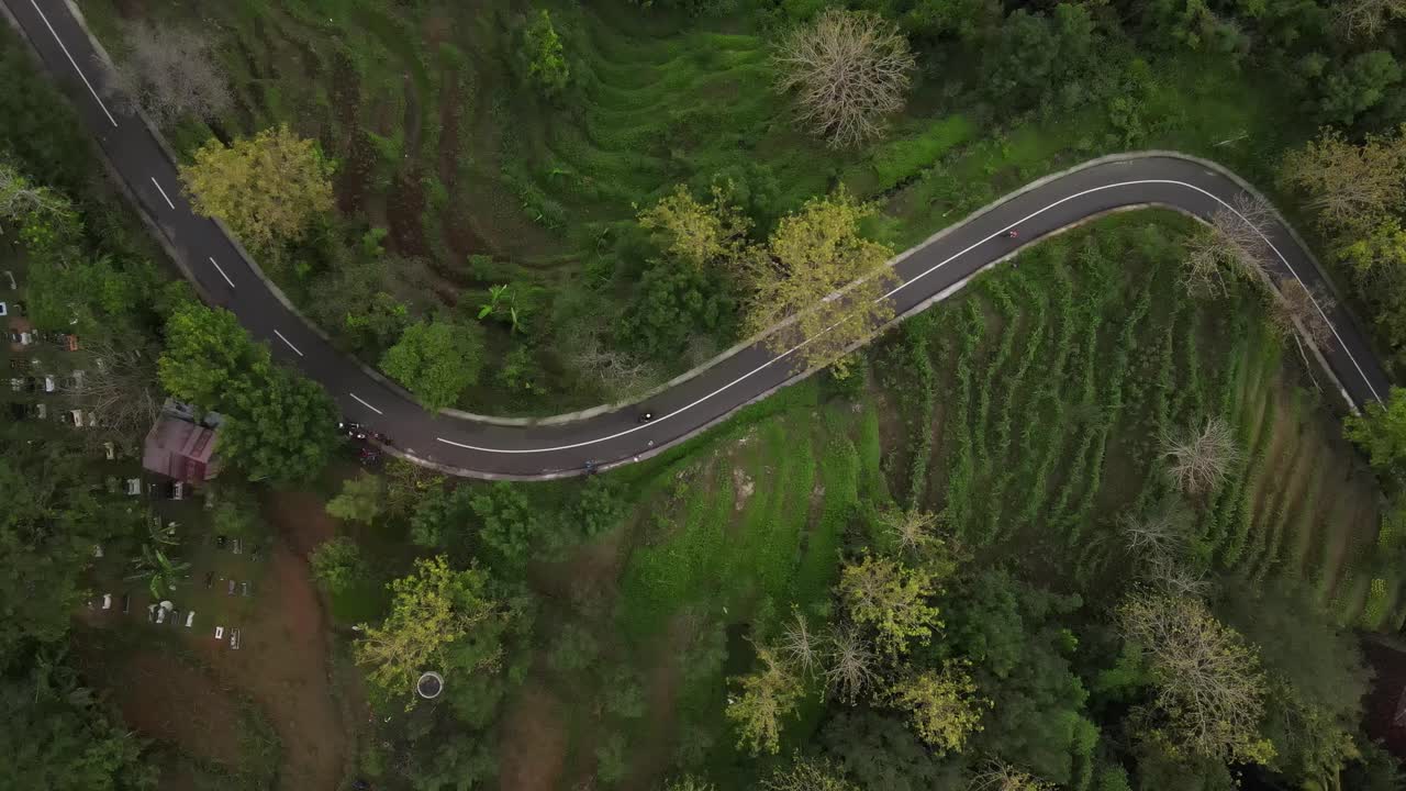 hermosa vista aérea del país tropical de indonesia, carreteras sinuosas bordeadas de bosques, campos de arroz o aldeas