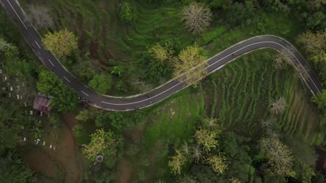 Beautiful-aerial-view-of-the-tropical-country-of-Indonesia,-winding-roads-lined-with-forests,-rice-fields-or-villages