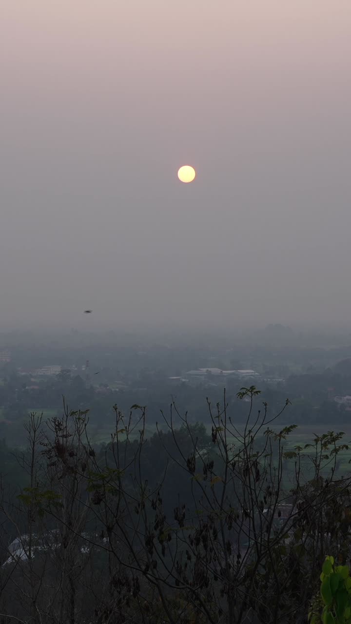 안개가 자욱한 풍경 위로 일출