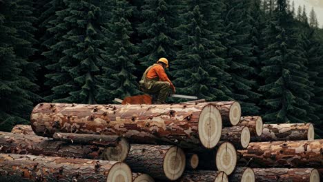 a logger in an orange jacket and helmet works atop stacked logs in a forest