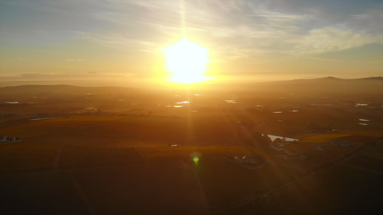 Golden Sunset Over the Vineyard Landscape