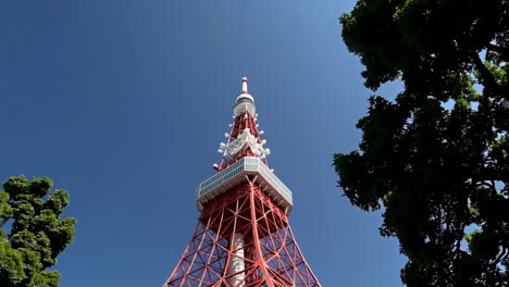 tokyo tower with trees and blue sky