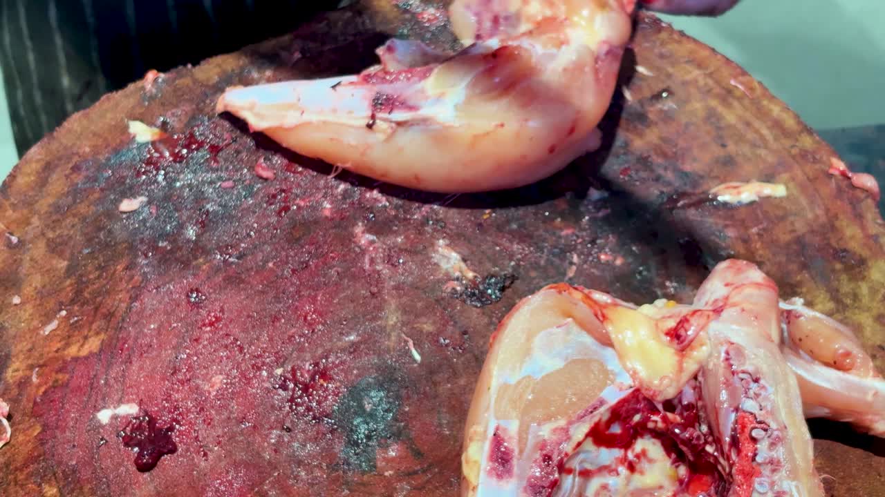raw chicken processing at butcher shop with hands cutting meat