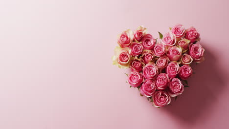 overhead video of a heart shaped bouquet of pink roses on pink background with copy space