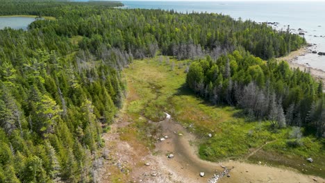 aerial descent pan up of coastline and forest creek, les cheneaux islands, michigan