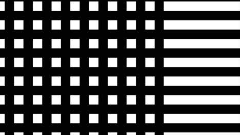 black and white grid pattern with stripes