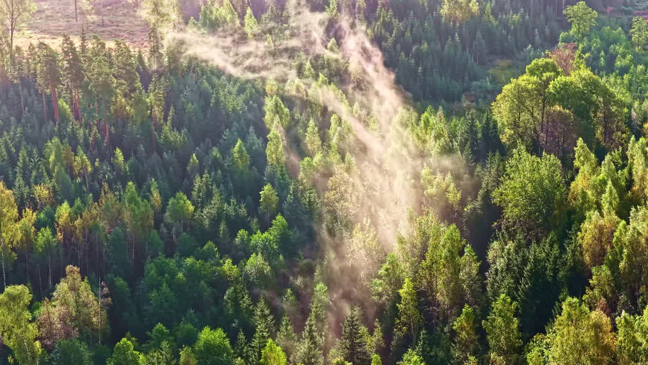 Dust and mist lift from treetops blending with clouds and sunlight in the open sky