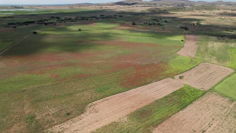 La-Sombra-De-Las-Nubes-Se-Extiende-A-Través-De-Las-Llanuras-Abiertas-De-Pastizales-Rojos-Y-Amarillos-De-Lemnos