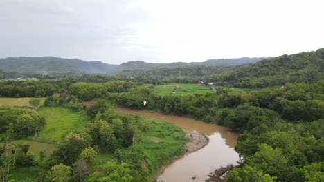 Aerial-view,-murky-river-water-in-a-forest-area-in-the-tropical-country,-Indonesia