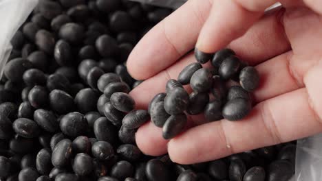 a hand carefully examines a pile of black turtle beans in close-up