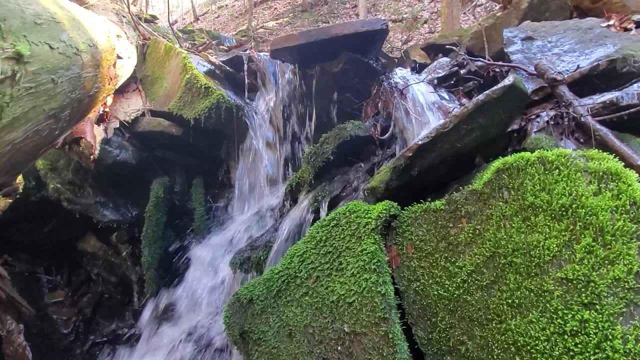 waterfall in a Spring fed mountain stream