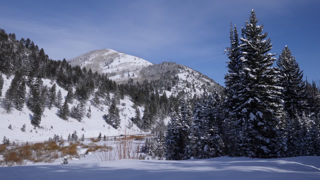 Snow-covered alpine forest beneath a clear blue sky on a sunny winter day. Rugged mountain slopes and evergreen trees create a serene, high-altitude landscape rich in texture and natural contrast