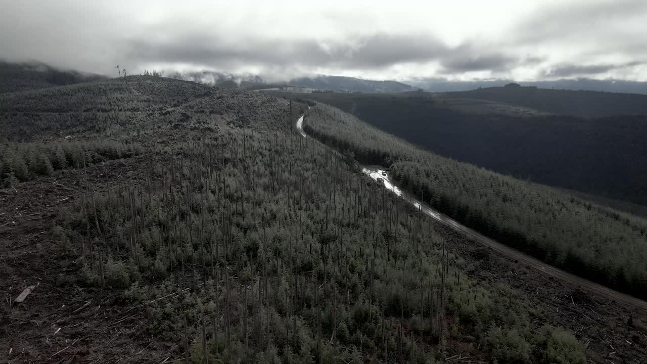 las nubes de tormenta cuelgan bajas sobre un área forestal recientemente talada y replantada, antena