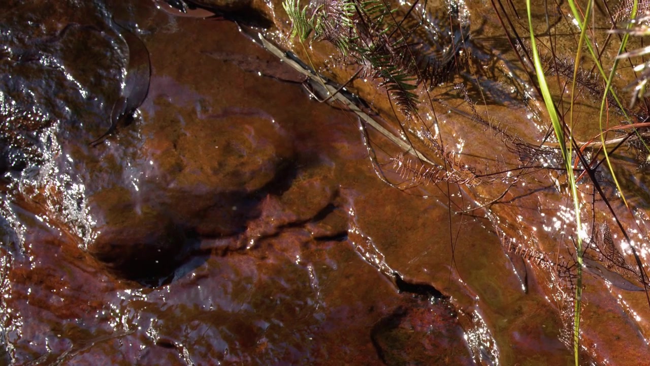 Primo piano statico di acqua limpida che scorre su arenaria rossa texturizzata a Wentworth Falls.