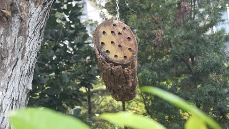 a bee hotel, insect hotel on the tree ,