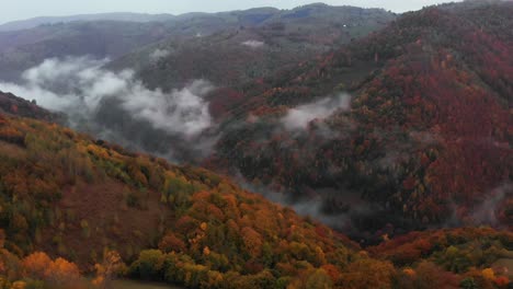 luftneigung von einem hügeltal mit herbstfarbenem wald an einem nebligen morgen