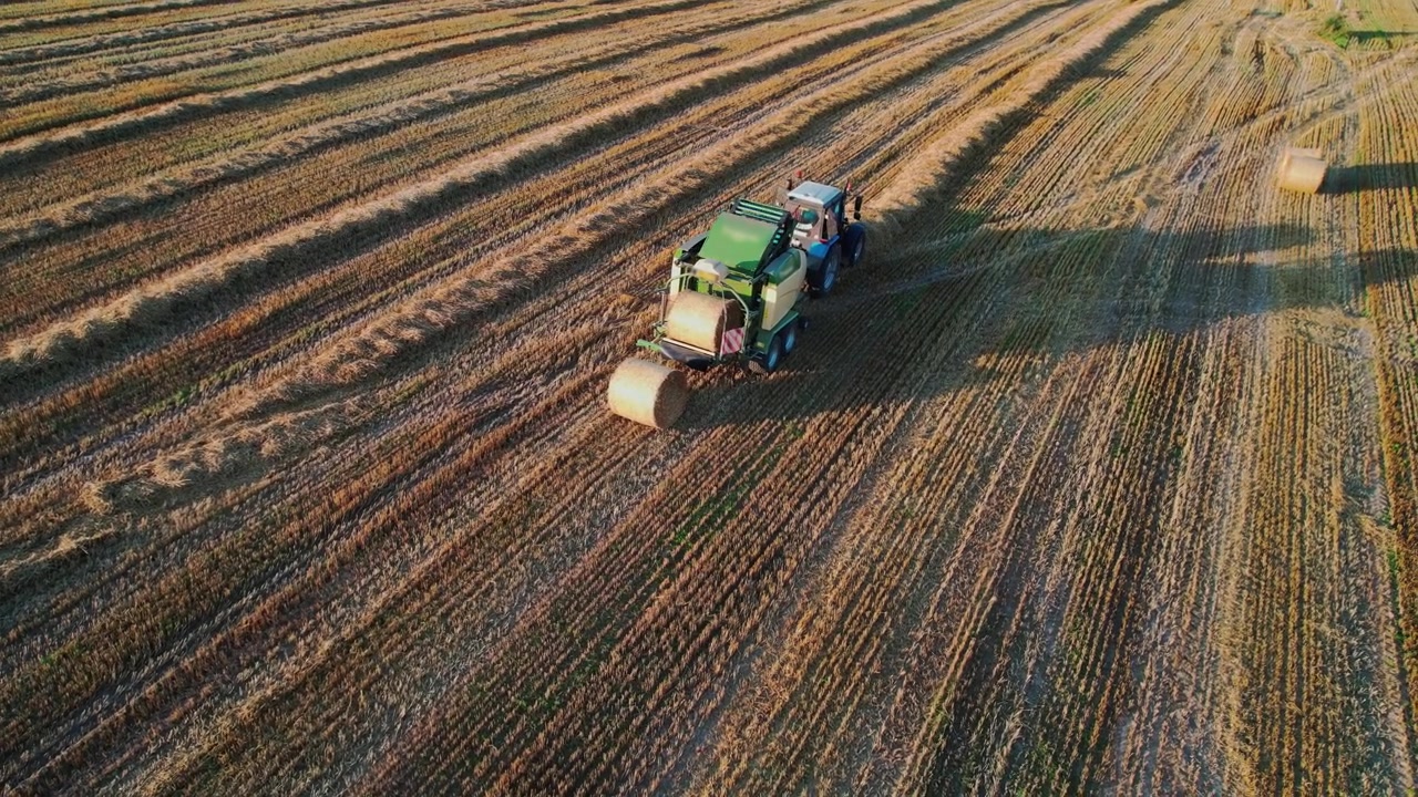 Rotopressa che produce balle di fieno in un campo agricolo