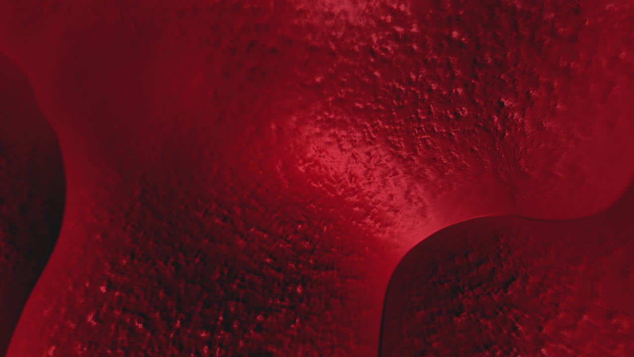 Blood tissue Cells Animate Inside human Body in Medical Science study