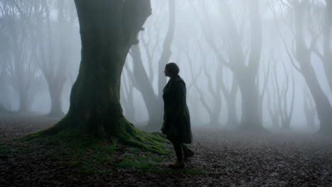 a person walking through a mysterious misty forest