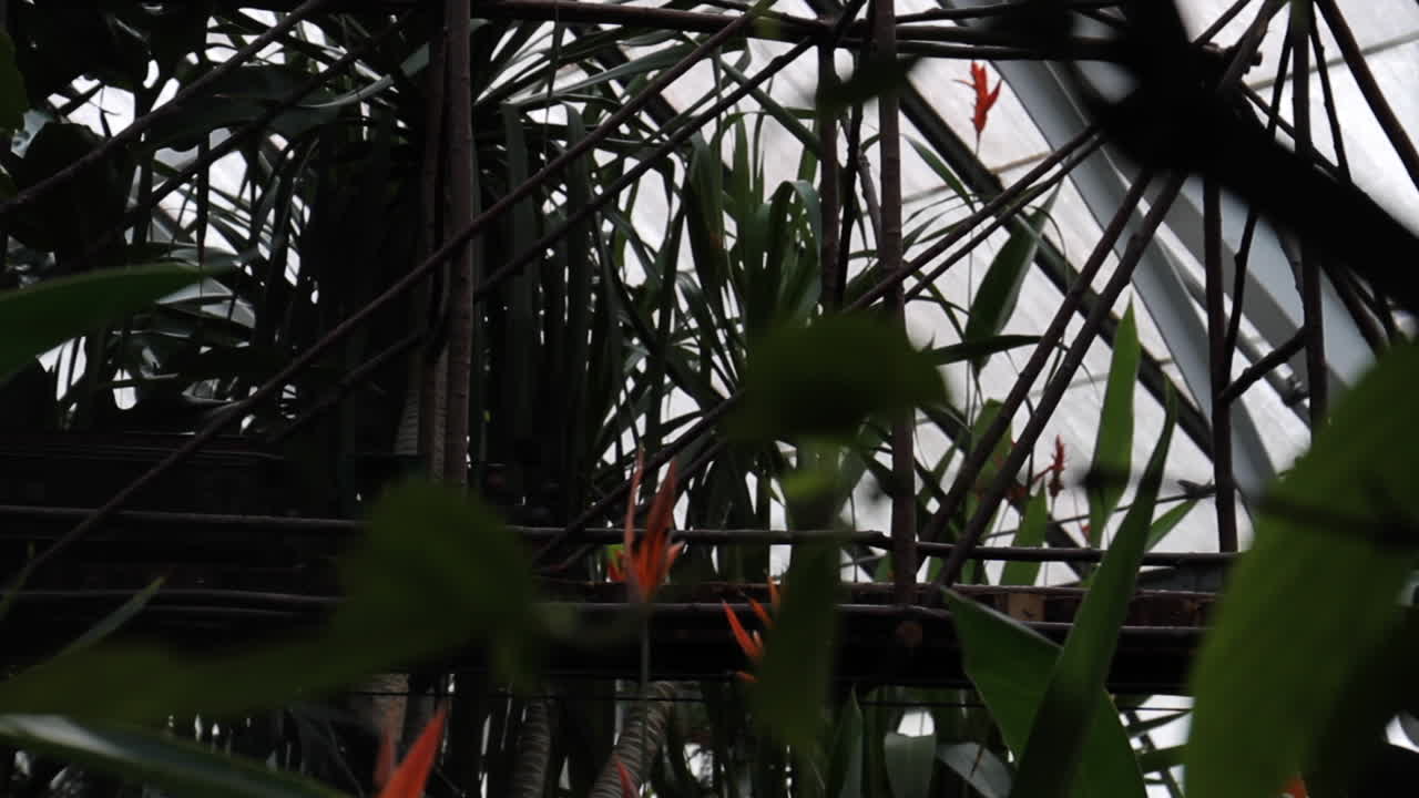 Model train in a greenhouse terrarium