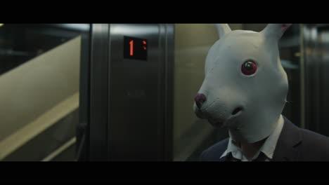 man with a rabbit head in an elevator