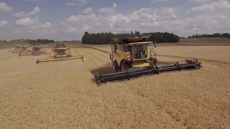 circular aerial movement around a team of combine harvesters collecting golden wheat during harvest season