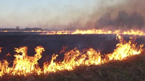 field fire at sunset