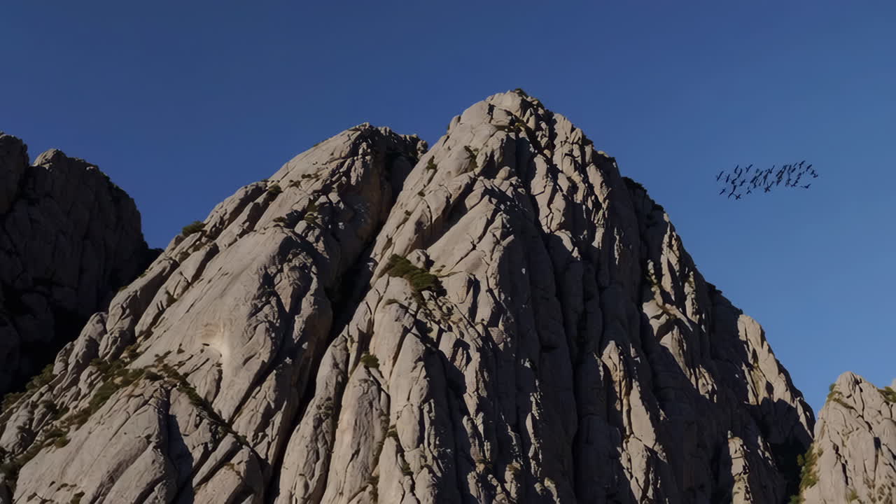Birds Flying Over Rocky Mountain Peaks