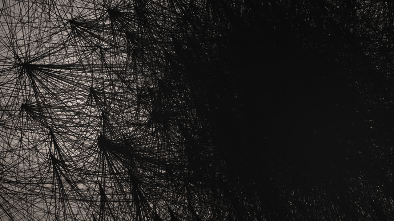 Il diagramma animato digitale 3D di Da Vinci crea uno spazio per il titolo in un buco nero