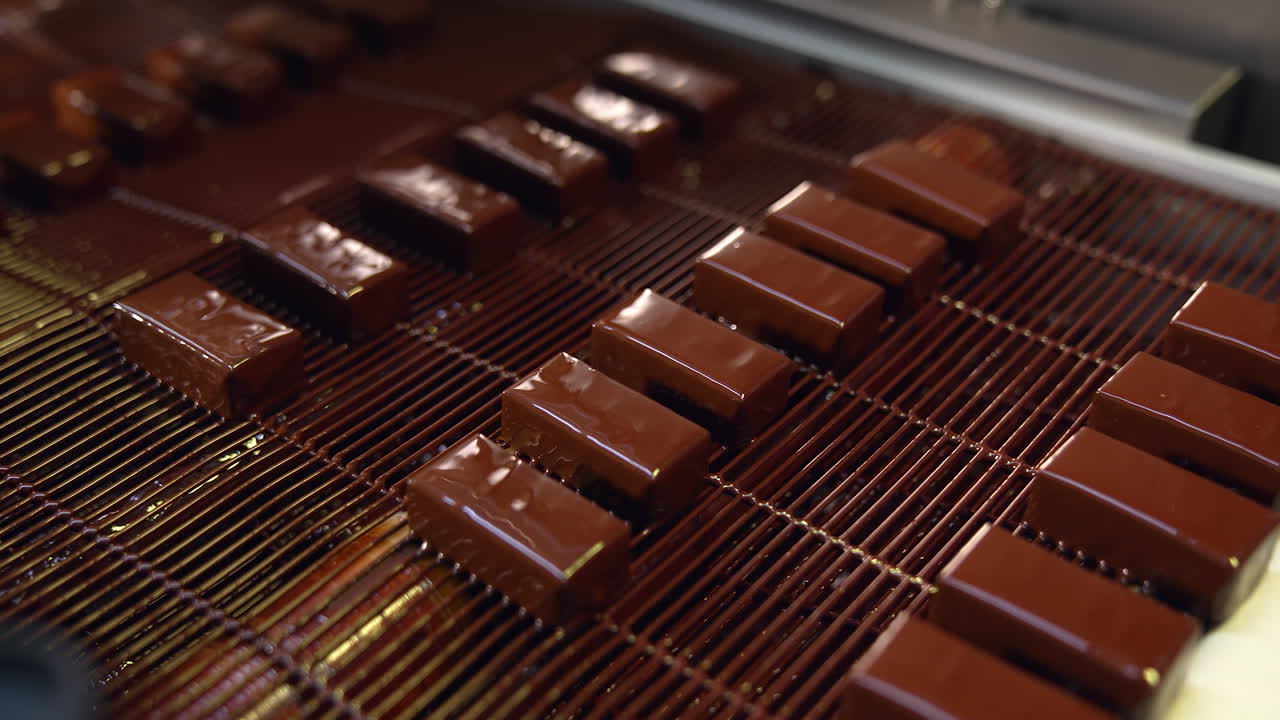 Delicious-looking candies freshly covered with black chocolate. Candies move on conveyor belt at the sweets factory.