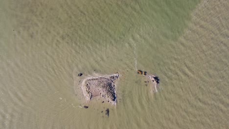 una vista de arriba hacia abajo de una isla en medio del río medway en una tarde soleada