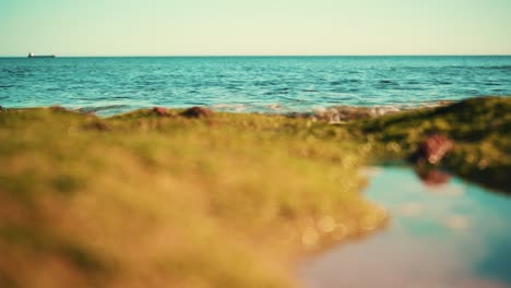 sea shoreline with cargo ship away, waves hit sand and seaweed at sunset closeup 4k 16:9