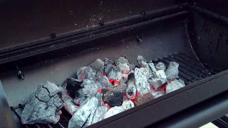 preparando el charcol para la barbacoa de verano