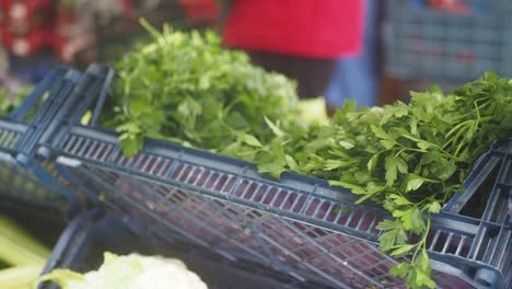 perejil fresco en un mercado de agricultores