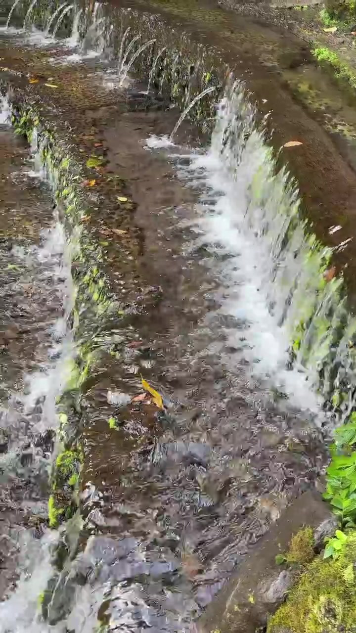 Piccola cascata a gradoni su gradini di pietra muschiosi nella natura.