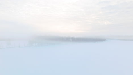 moving through fog and ascending to reveal a vast nordic scandinavian landscape with forest covered in snow and ice and fog engulfing the beatiful scenery